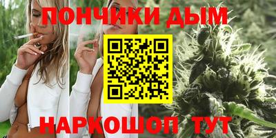 МДПВ Новодвинск