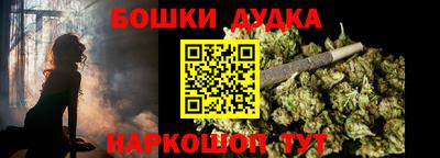 МДПВ Новодвинск