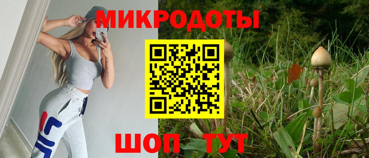 Псилоцибиновые грибы ЛСД Северск